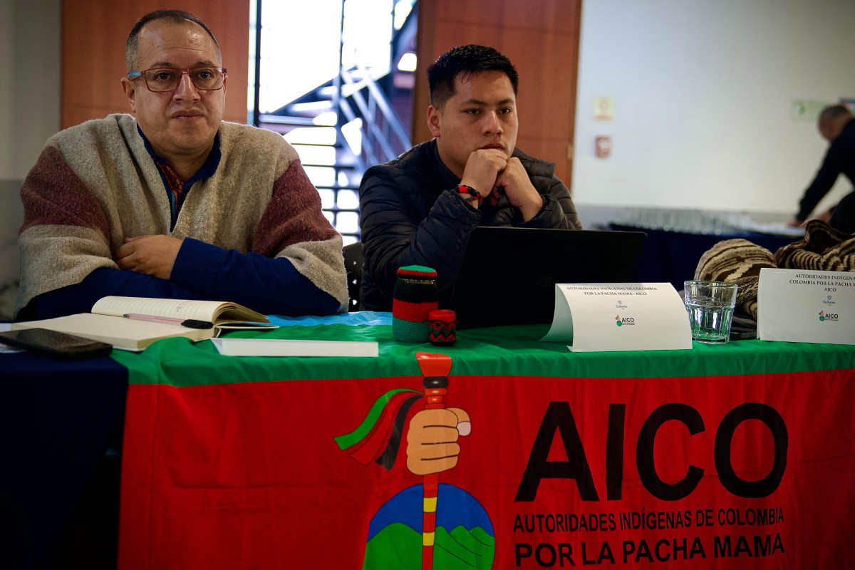 Consulta indígena
